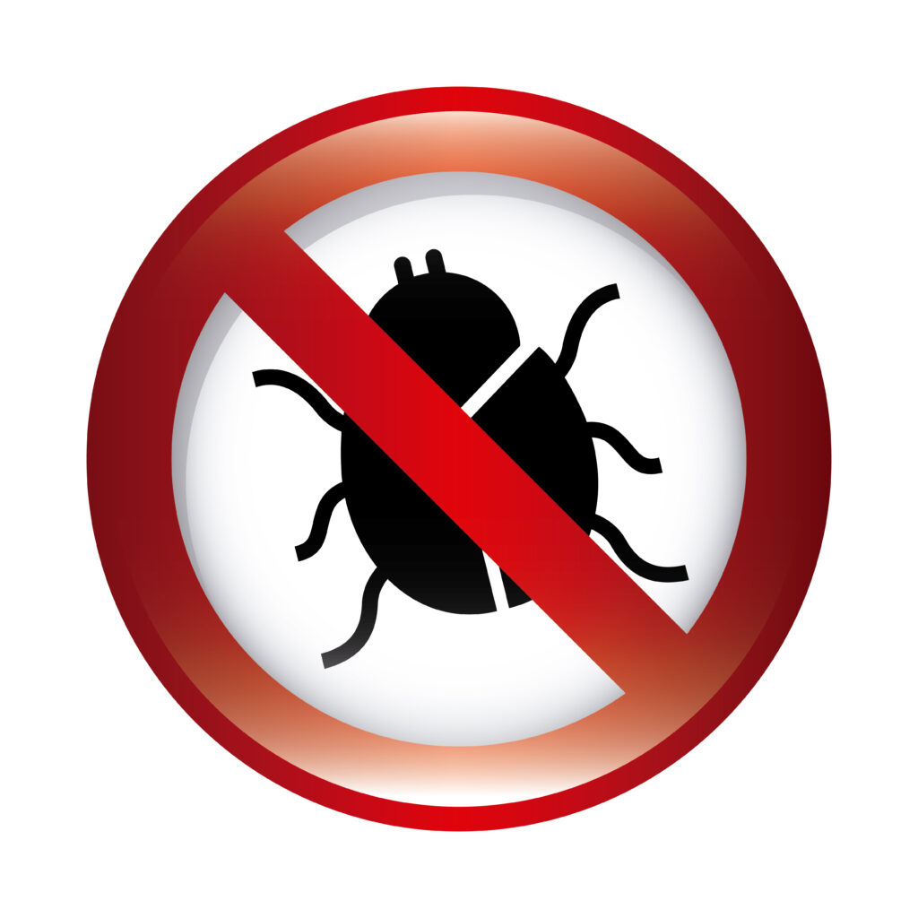 Why is bed bug control so important