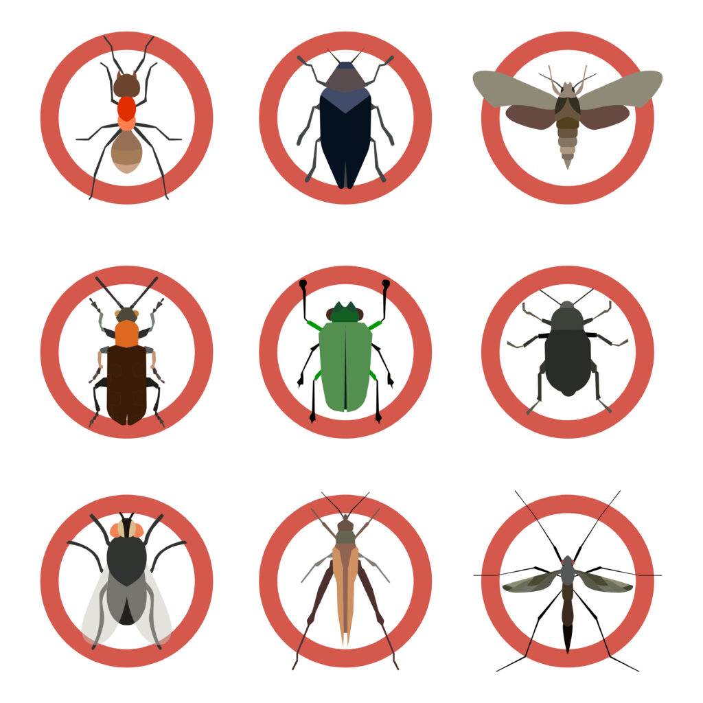 Why is flea control so important?​